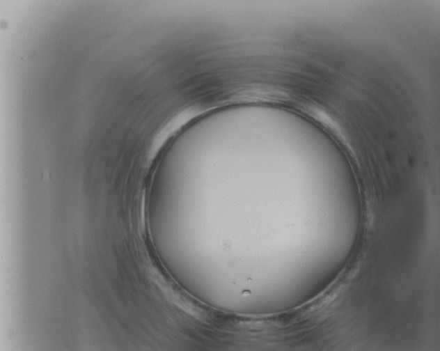 X0000062831227200601271943