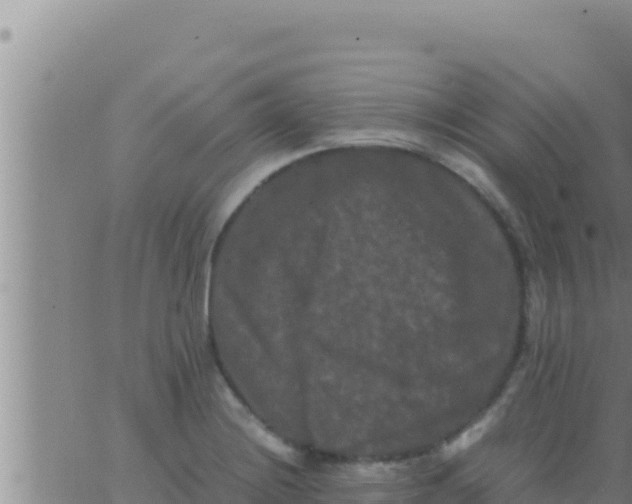 X0000062831228200601271943