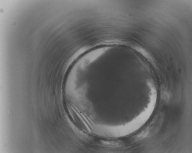 X0000062831229200601271943