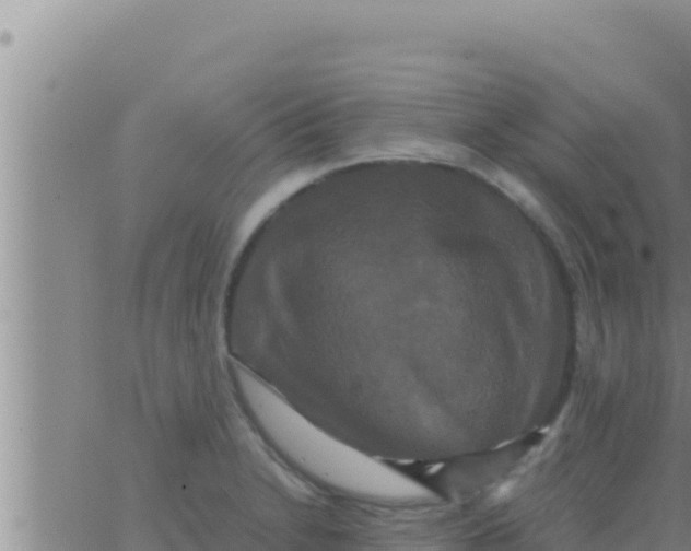 X0000062831230200601271943