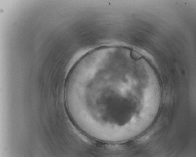 X0000062831231200601271943