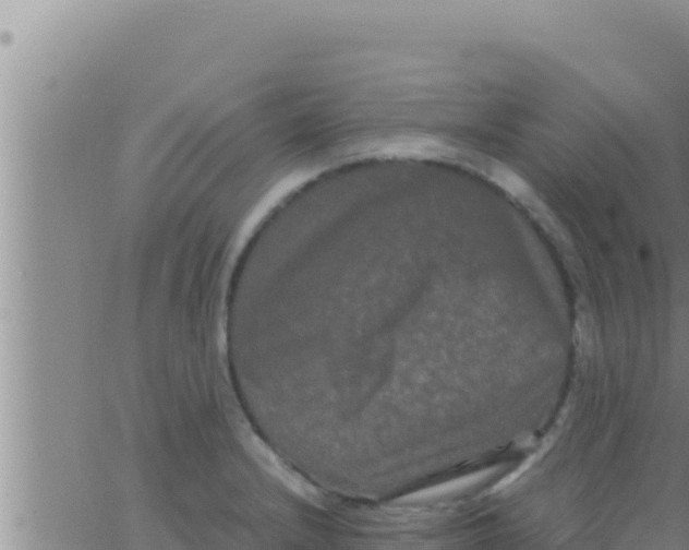 X0000062831232200601271943