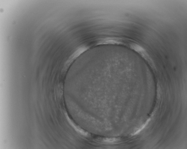 X0000062831233200601271943