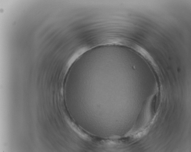 X0000062831234200601271943