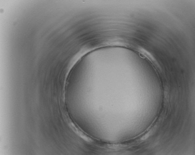 X0000062831236200601271943