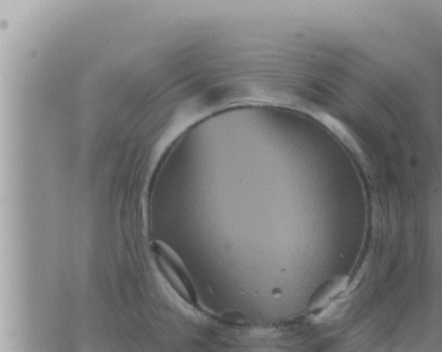 X0000062831238200601271943