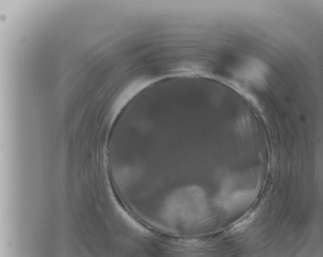 X0000062831239200601271943