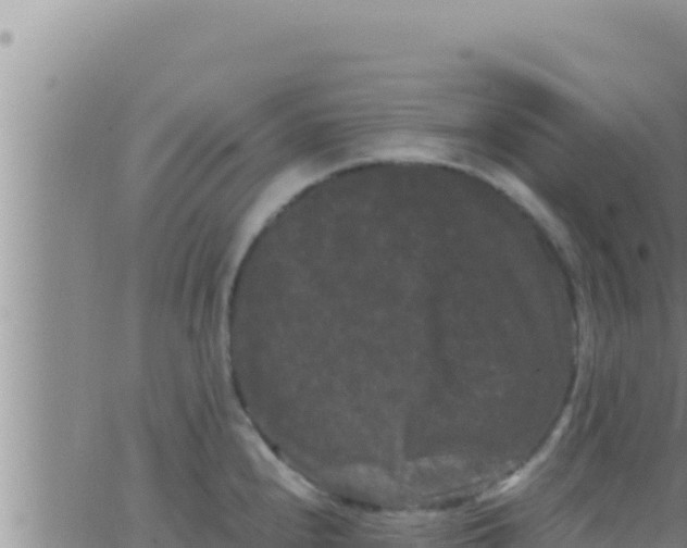 X0000062831240200601271943