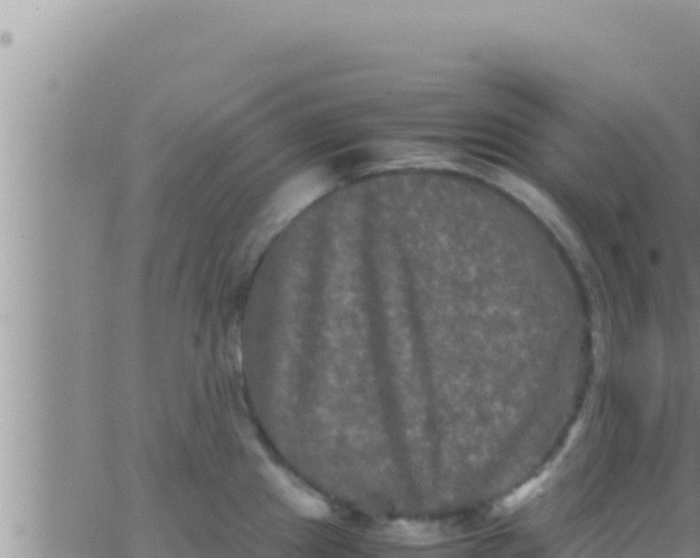 X0000062831241200601271943