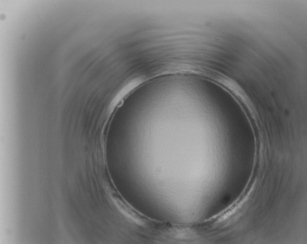 X0000062831242200601271943