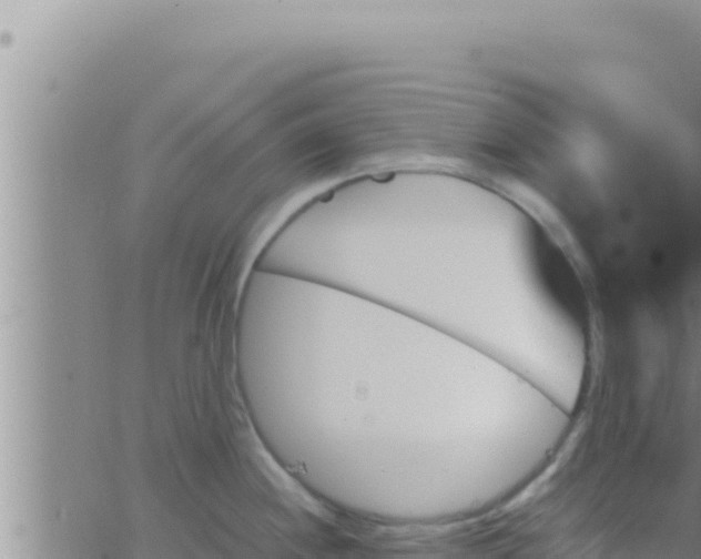 X0000062831244200601271943