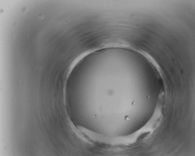 X0000062831246200601271943