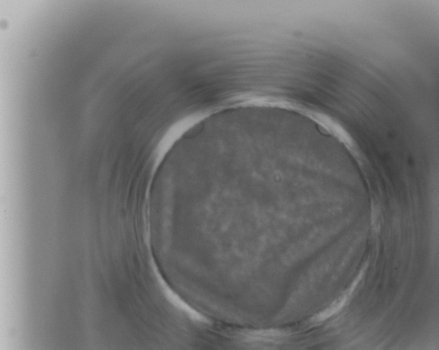 X0000062831247200601271943