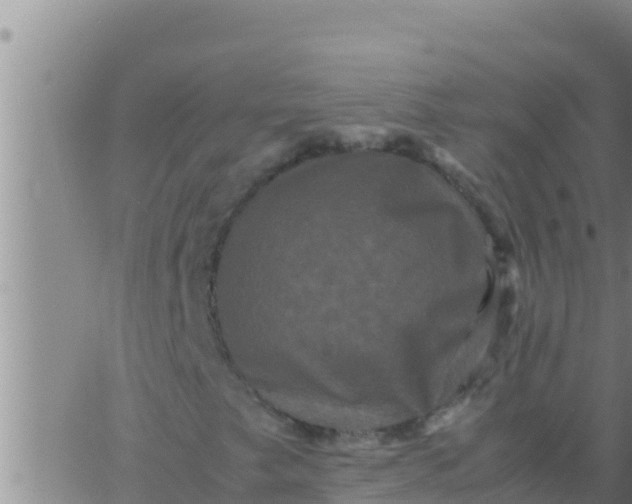 X0000062831249200601271942