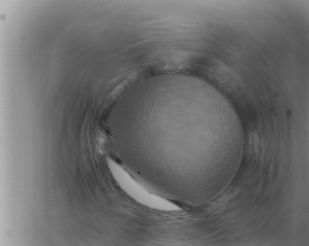 X0000062831250200601271942