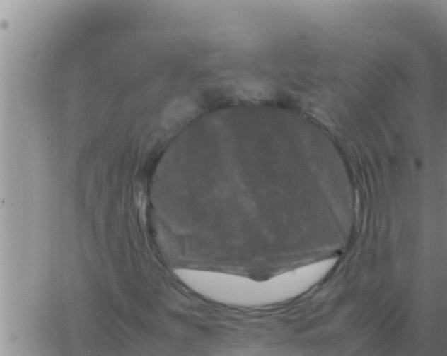 X0000062831251200601271942