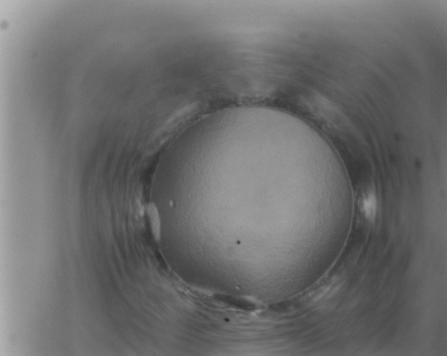 X0000062831252200601271942