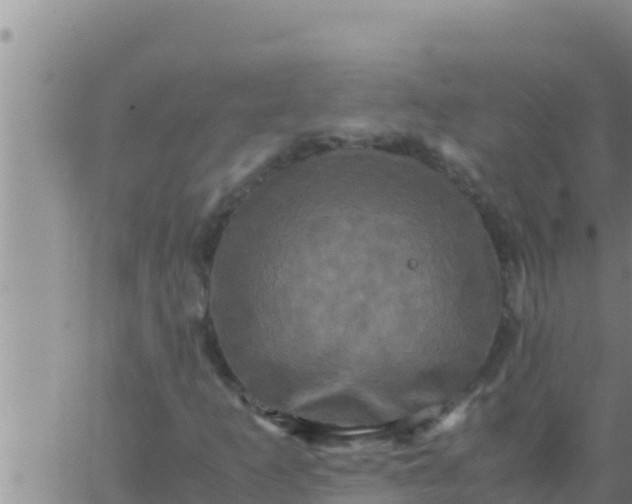 X0000062831253200601271942