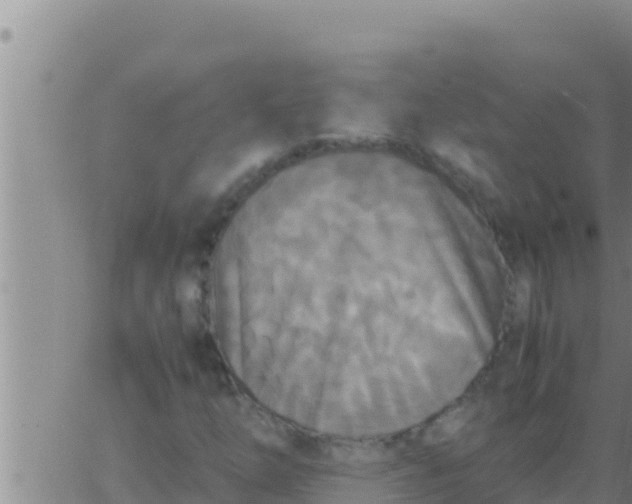 X0000062831254200601271942