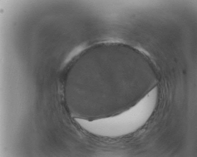 X0000062831255200601271942