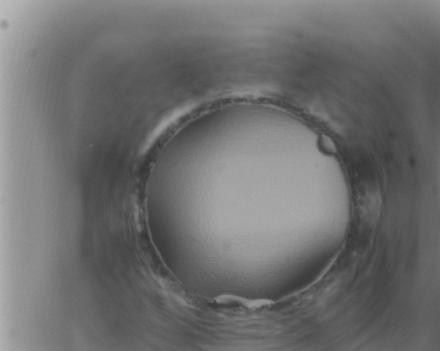 X0000062831256200601271942