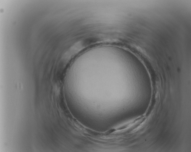 X0000062831257200601271942