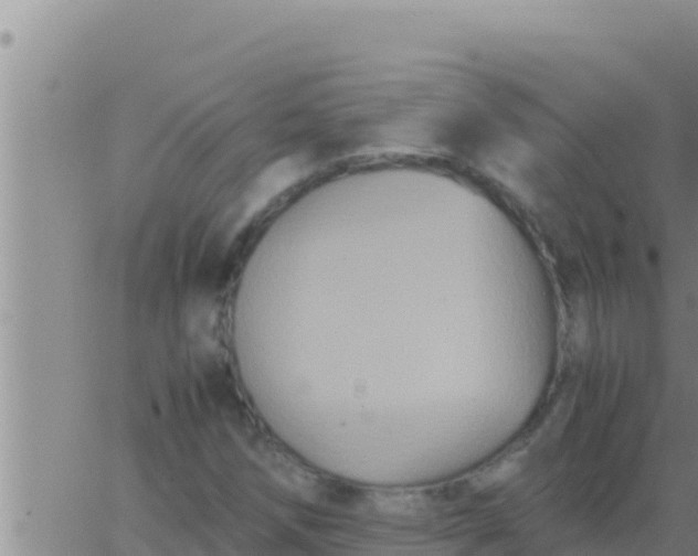 X0000062831258200601271942