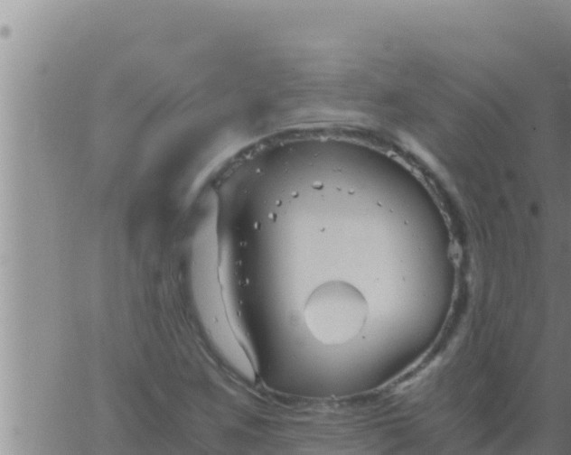 X0000062831259200601271942