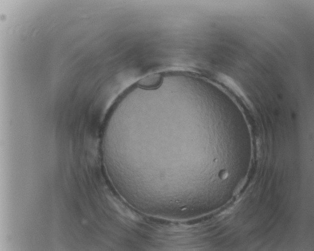 X0000062831260200601271942