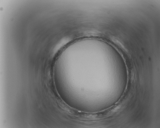 X0000062831261200601271942