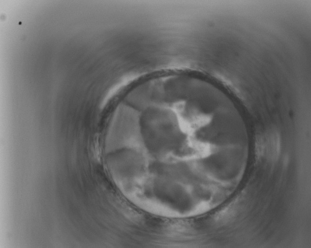 X0000062831262200601271942