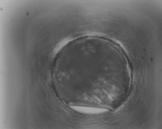 X0000062831263200601271942