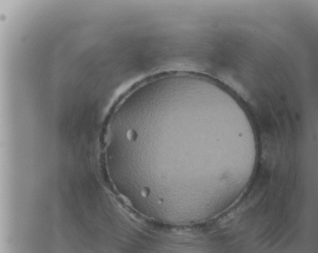 X0000062831264200601271942