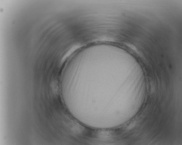 X0000062831266200601271942