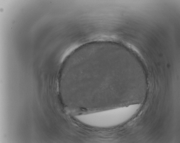 X0000062831267200601271942