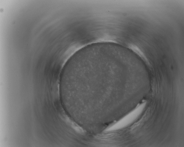 X0000062831268200601271942