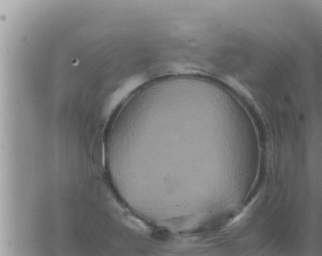 X0000062831269200601271942