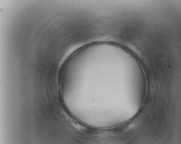 X0000062831270200601271942