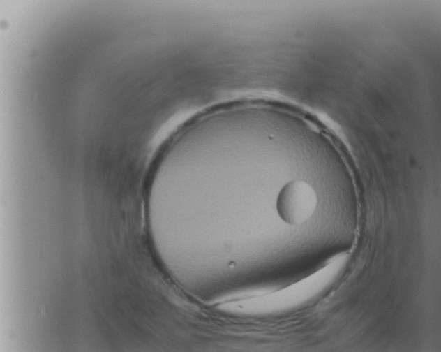 X0000062831271200601271942