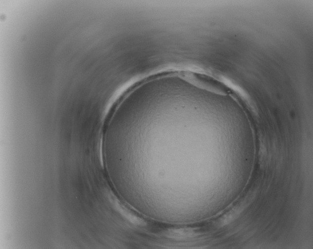 X0000062831272200601271942