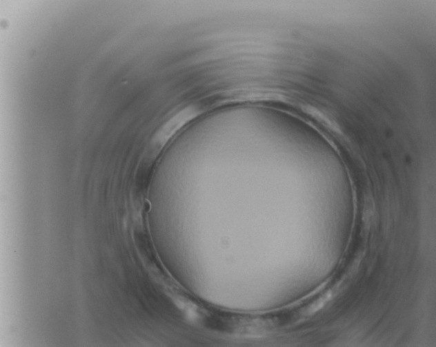 X0000062831273200601271942