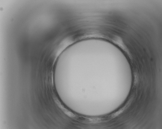 X0000062831274200601271942