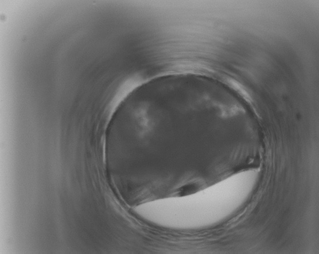 X0000062831275200601271942