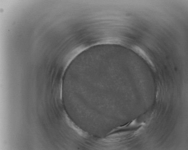 X0000062831276200601271942