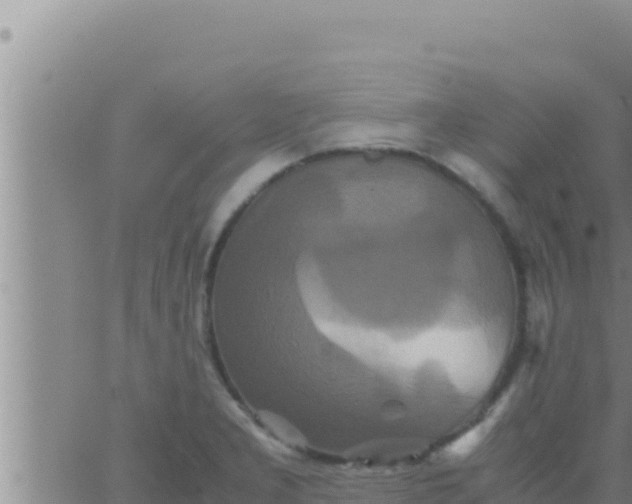 X0000062831277200601271942