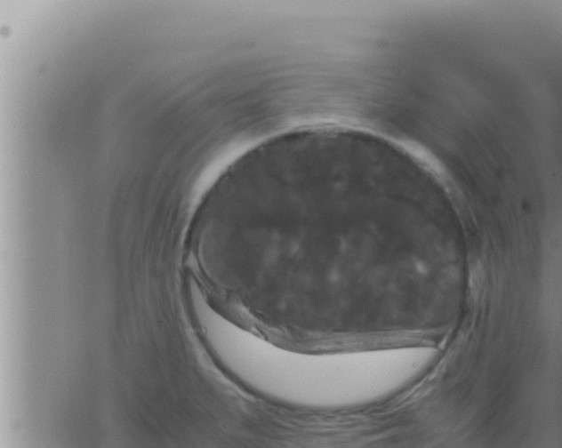 X0000062831279200601271942