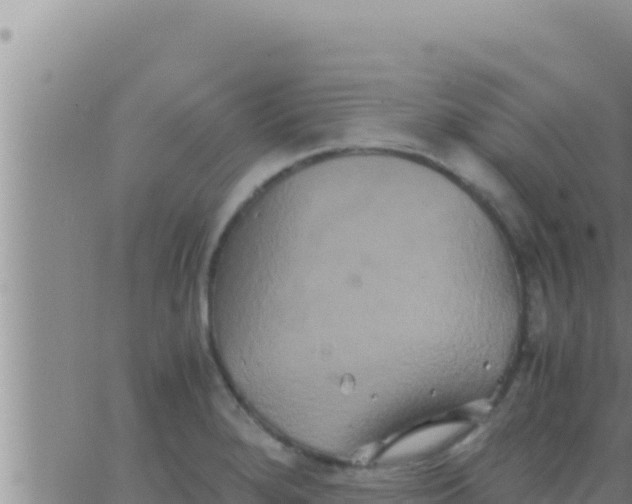 X0000062831280200601271942