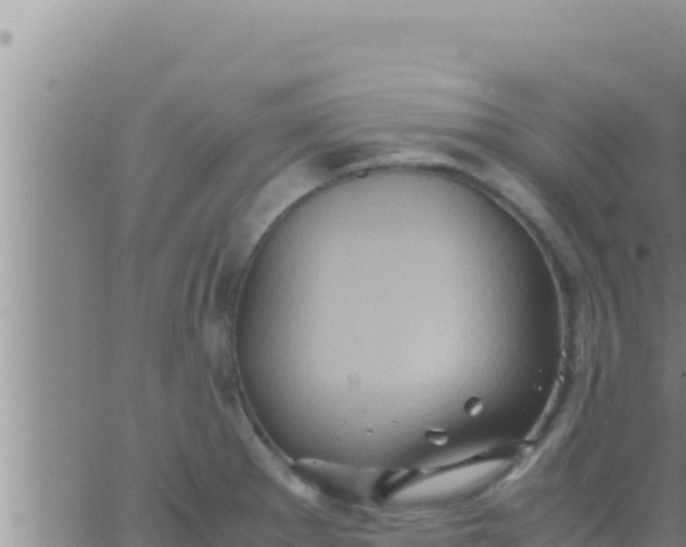 X0000062831281200601271942