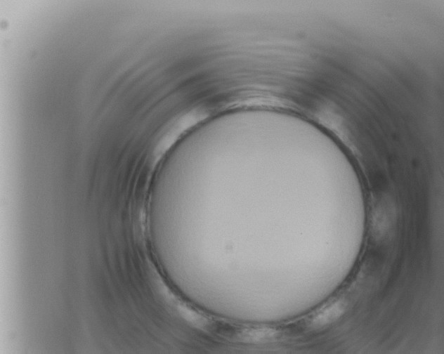 X0000062831282200601271942