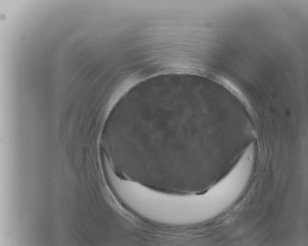 X0000062831283200601271942